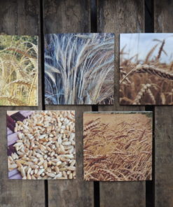 Scotland The Bread Greeting Cards